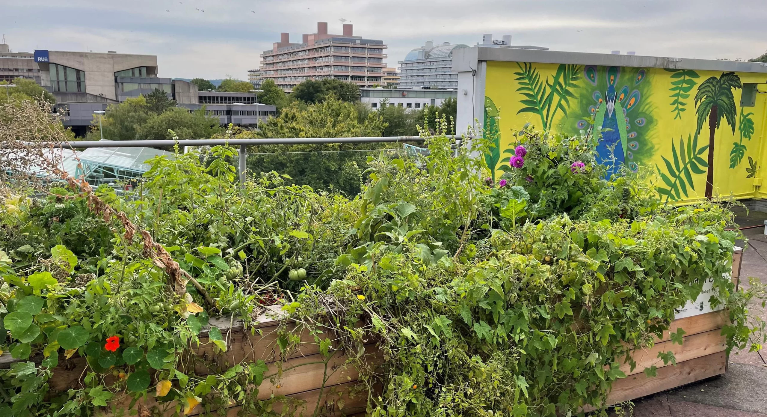 Zweigbücherei Querenburg hat jetzt eine „Grüne Oase“ auf der Terrasse